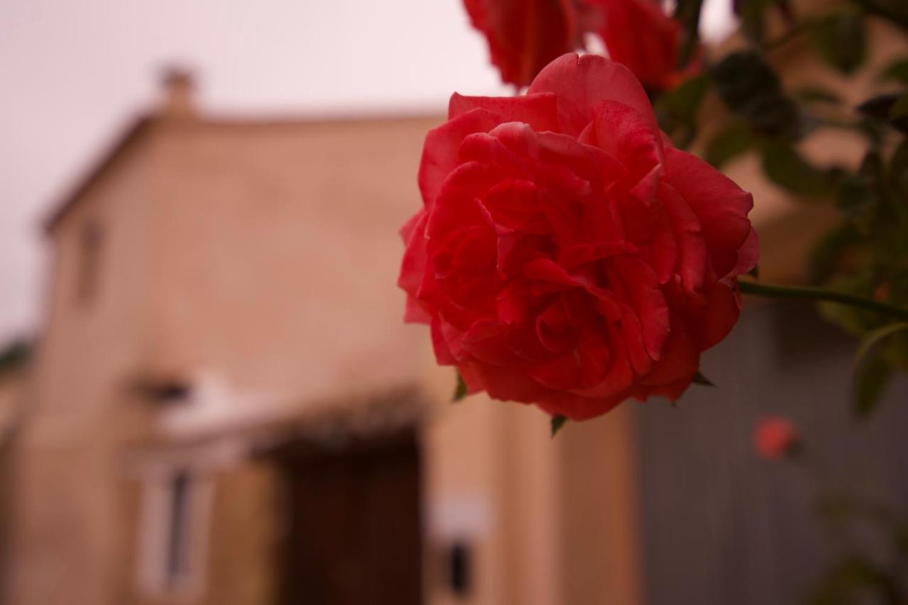El Cau De Corcolilla Βίλα Εξωτερικό φωτογραφία